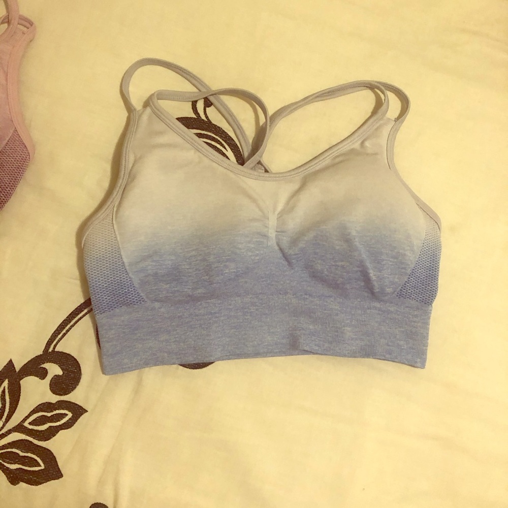 Blue Ombré Seamless Sports Bra
